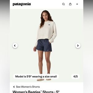 Patagonia 5 in. Baggies Shorts